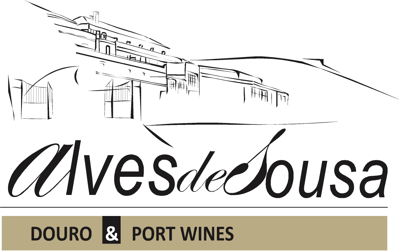 Domingos alves de sousa